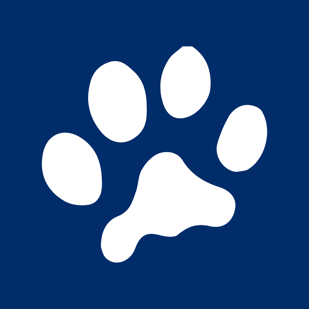 Meet & Greet | Dog & Cat Sitting