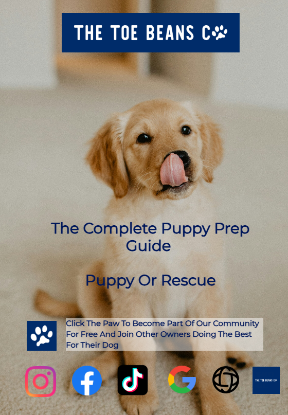 7. Puppy vs Rescue Dog: The Truth Nobody's Telling You
