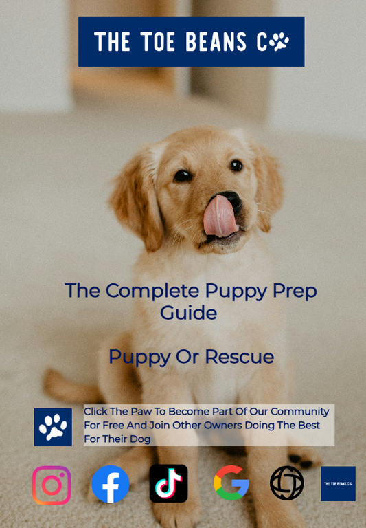 7. Puppy vs Rescue Dog: The Truth Nobody's Telling You