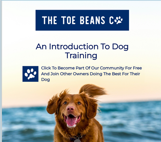 A Brief Introduction To The 4 Mainstream Ethical Schools