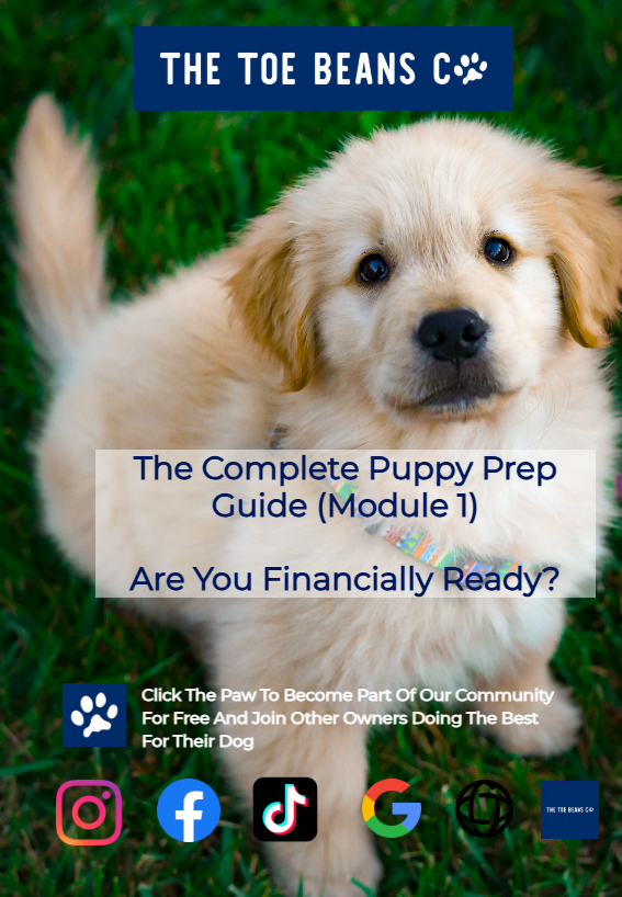 3. What Does A Puppy Actually Cost? (The Numbers Nobody Mentions)
