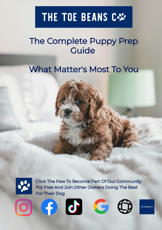 5. How To Choose The Right Dog Breed For Your Life (Not Your Instagram)