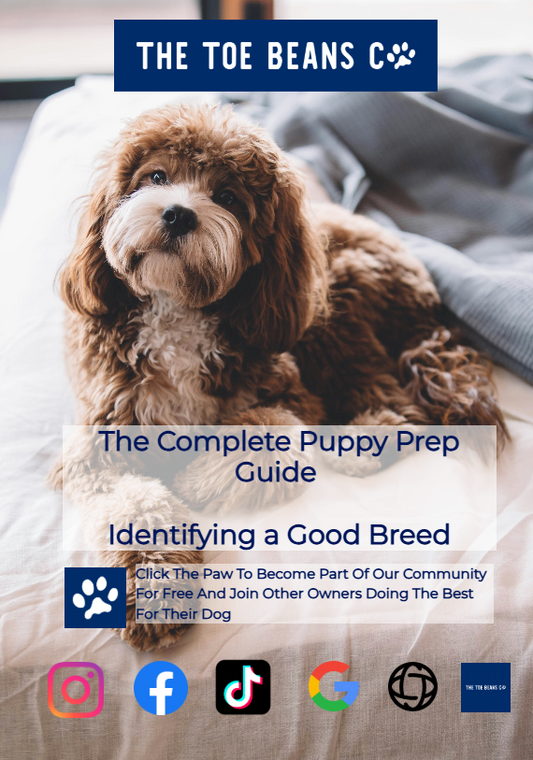 6. Dog Breed Selector Tools: How To Use Them (Not Manipulate Them)