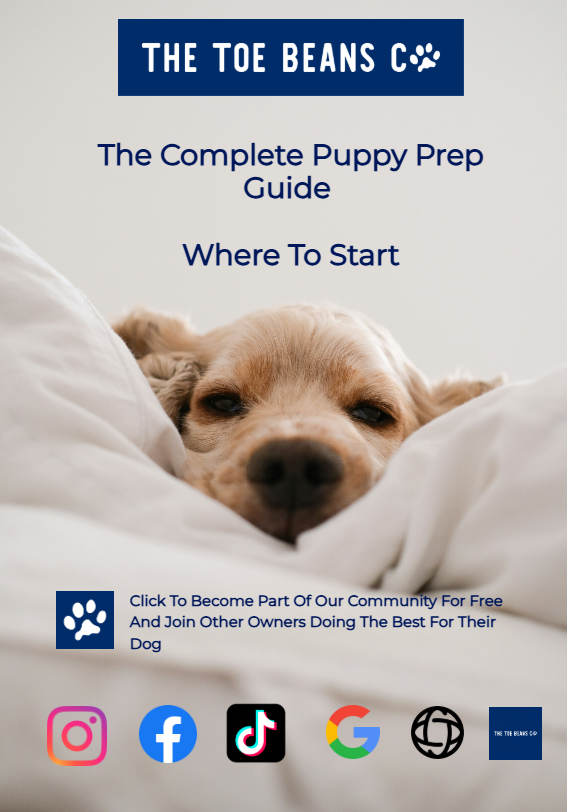 9. Prepare Your Home For A Puppy (The Checklist Nobody Gives You)