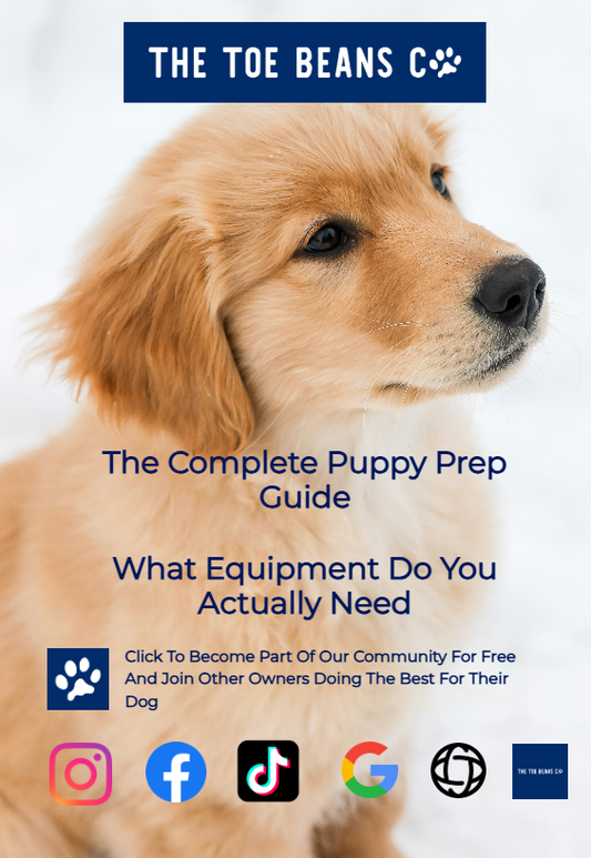 10. What Do You Actually Need For A New Puppy?