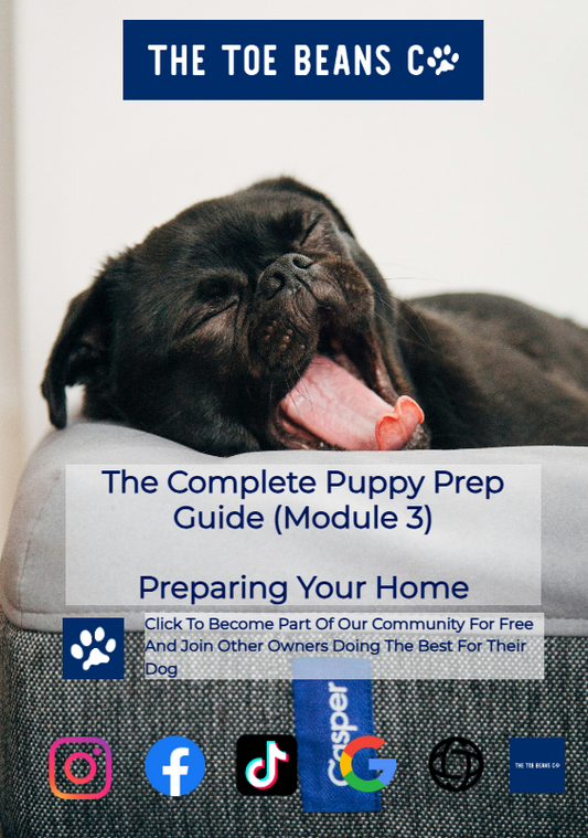 11. Set Up Your Home For A Puppy (Crate, Sleep Area & Toilet Training)