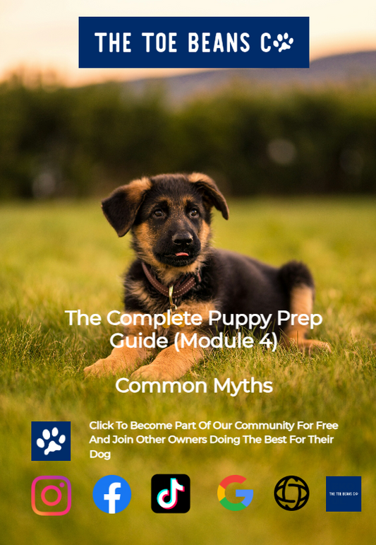 14. Puppy Training Myths That Are Ruining Your Dog (Stop Believing These)