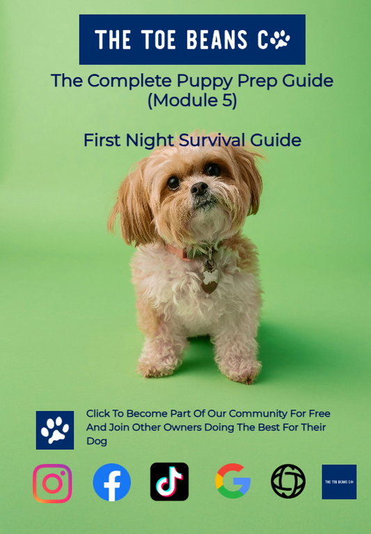 17. Survive Your Puppy's First Night (The Reality Nobody Tells You)