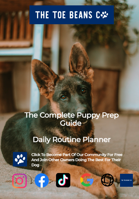 19. Your Puppy's First Week: What To Actually Expect (The Reality)