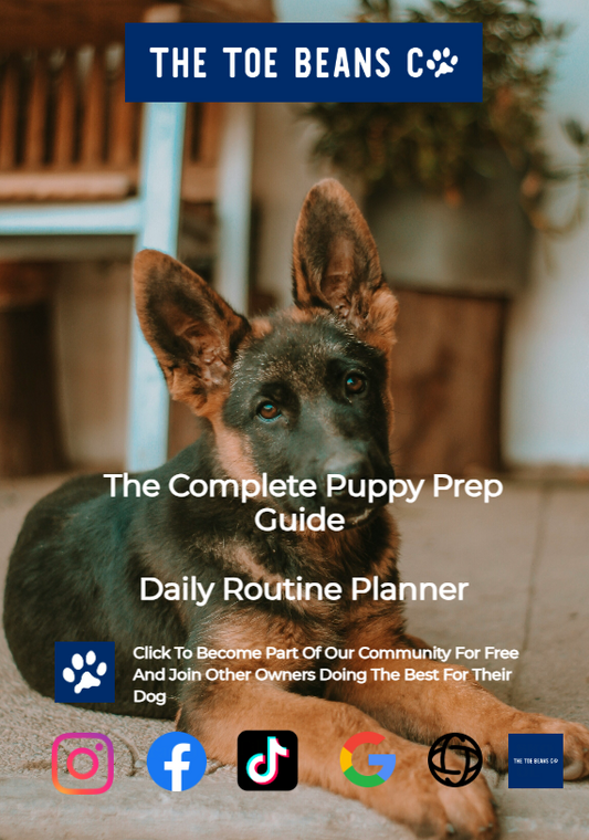 19. Your Puppy's First Week: What To Actually Expect (The Reality)