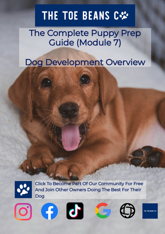 22. Puppy Development Month By Month: So You Know What's Coming