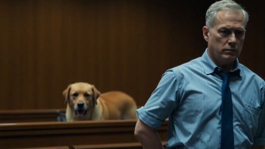 Man jailed for dog cruelty in Geelong.