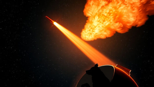 Laika the dog in a rocket heading to space.