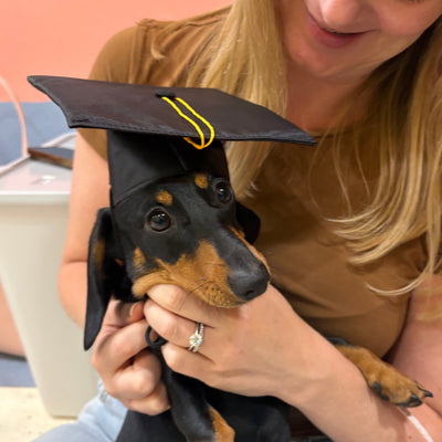 Woman holding a small black and brown dog with a cone on its head.