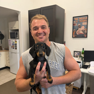 Man holding a small dog in an indoor setting with a TV and decor in the background