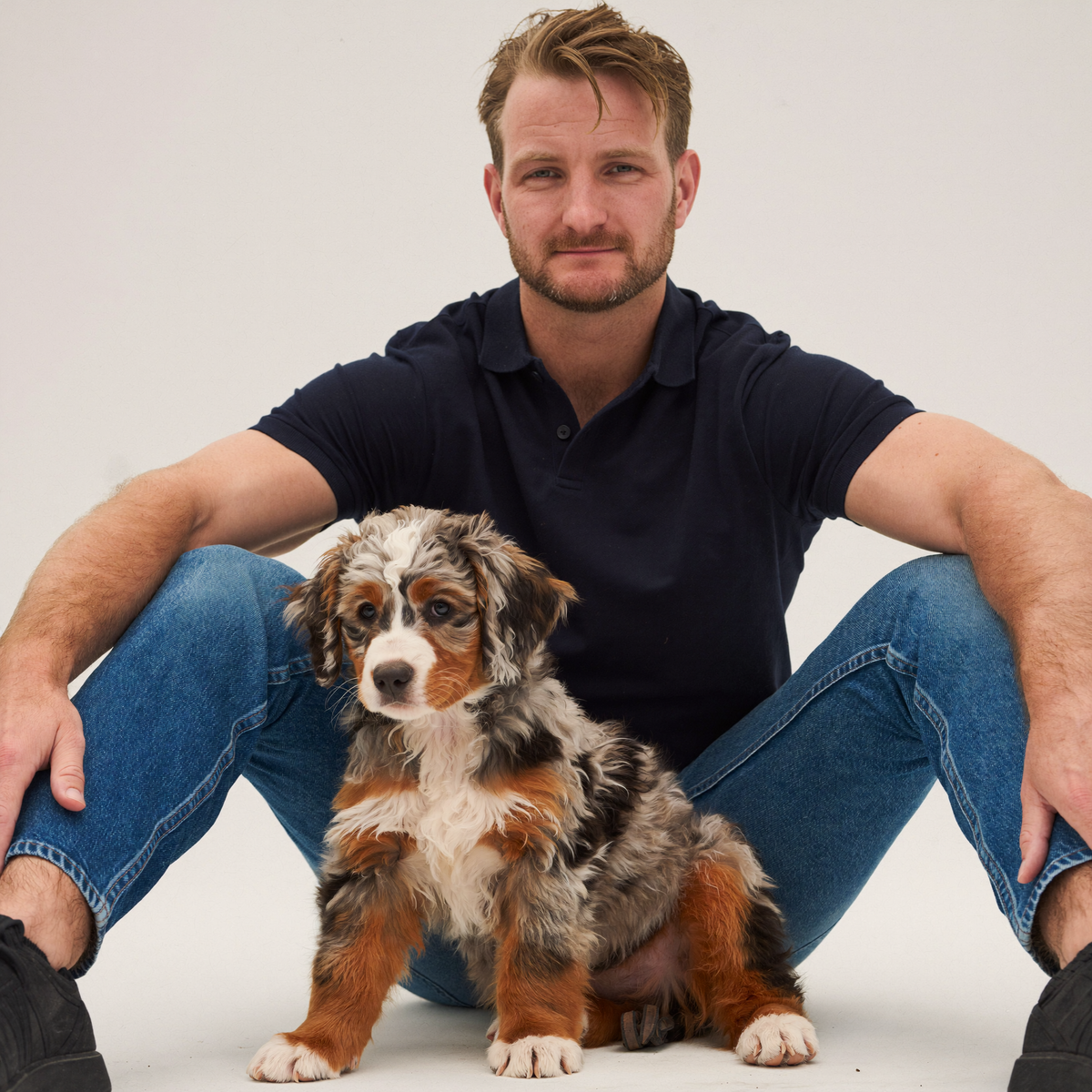 An Aussiedoodle puppy sitting in the lap of Sydney dog trainer Luke Buchanan