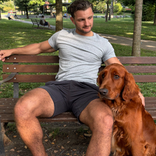 Adult Dog Training and Behaviourism