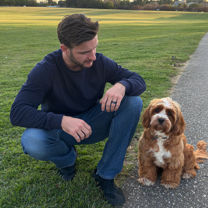 Adult Dog Training and Behaviourism