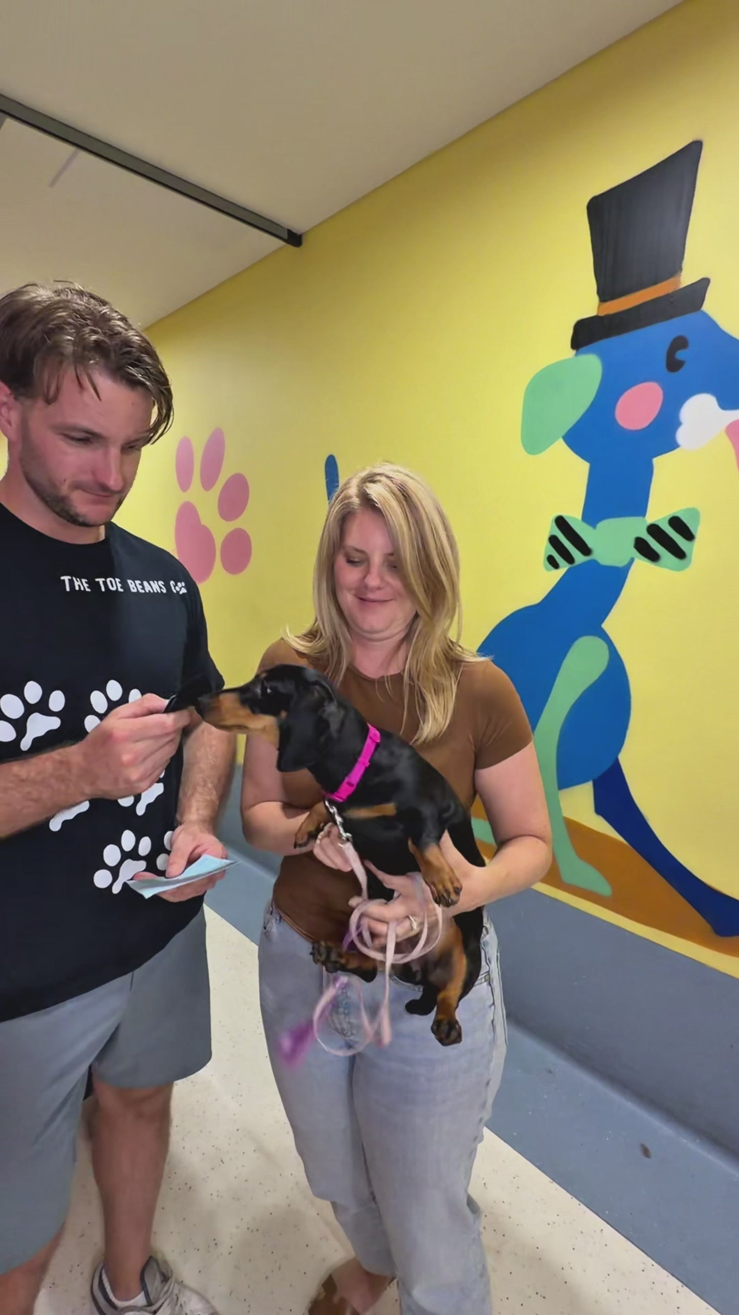 Complete Puppy Program