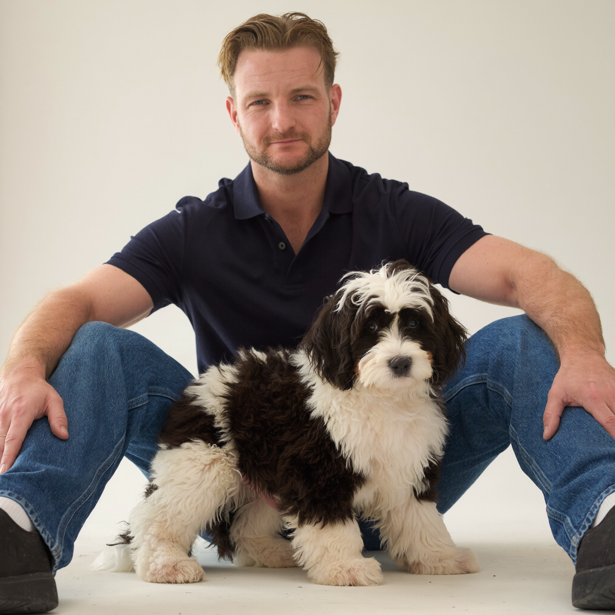 A Sheepadoodle puppy sitting in the lap of Sydney dog trainer Luke Buchanan